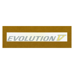 EVOLUTION V 尾門裝飾貼